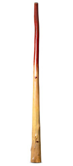 Tristan O'Meara Didgeridoo (TM359)
